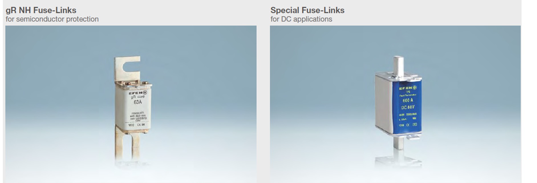 Special Fuse Link